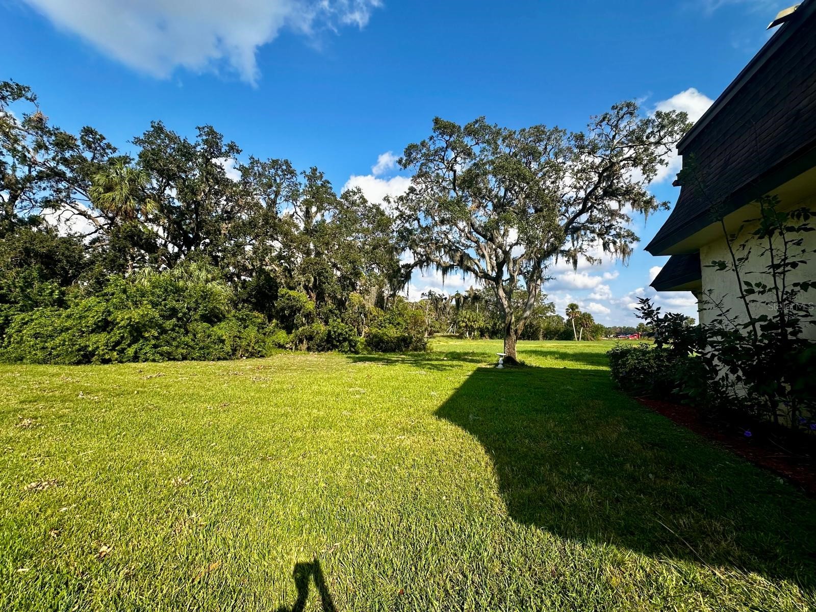 7040 Cognac Drive #1 New Port Richey FL 34653 TB8463392 image35