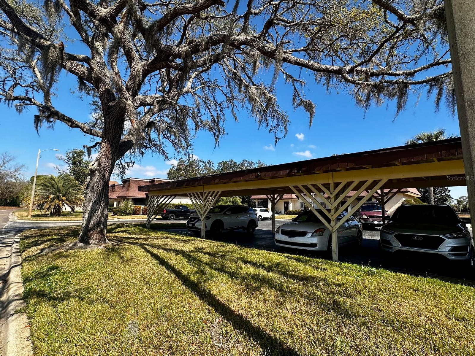 7040 Cognac Drive #1 New Port Richey FL 34653 TB8463392 image37