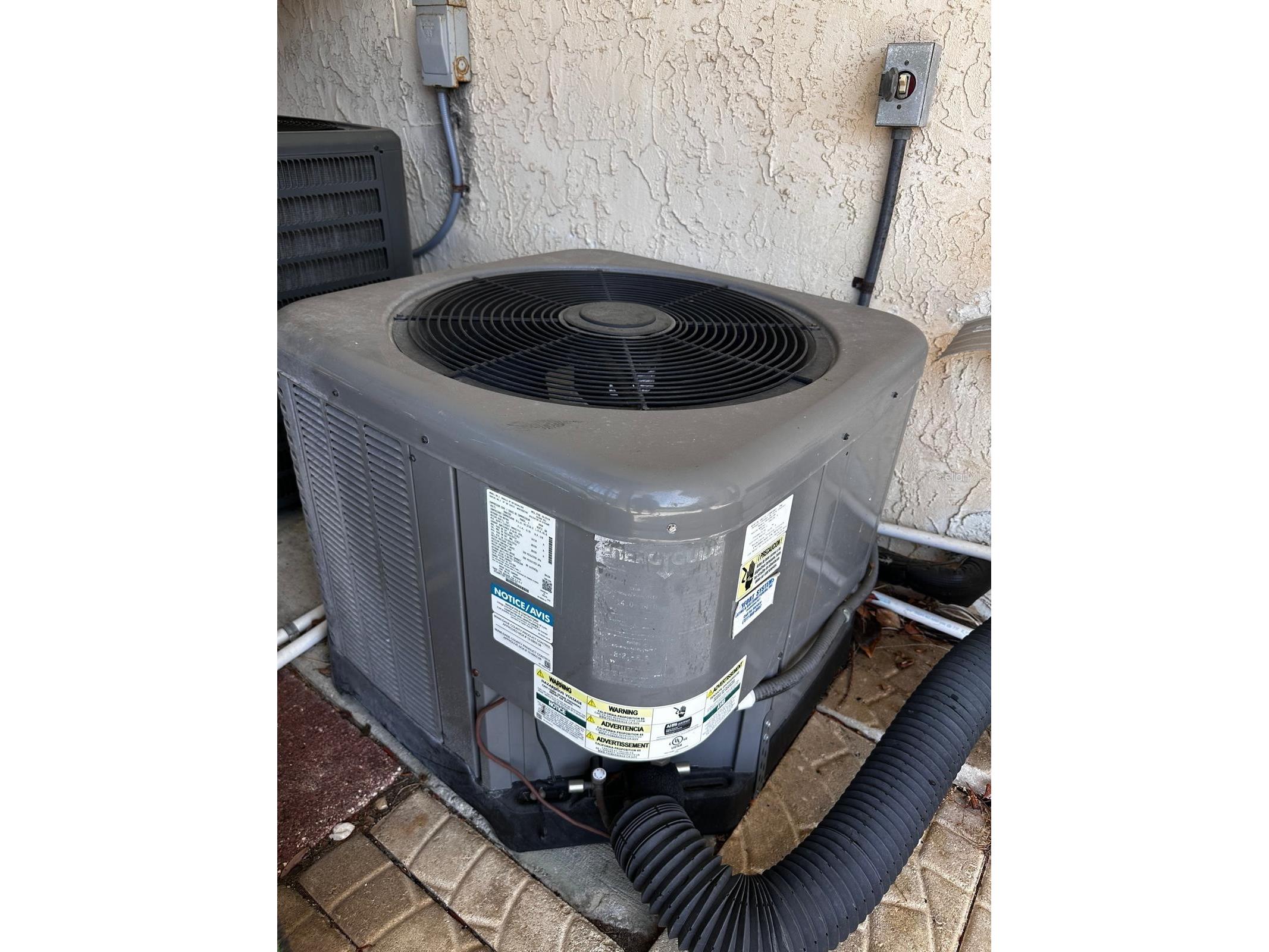 7040 Cognac Drive #1 New Port Richey FL 34653 TB8463392 image40