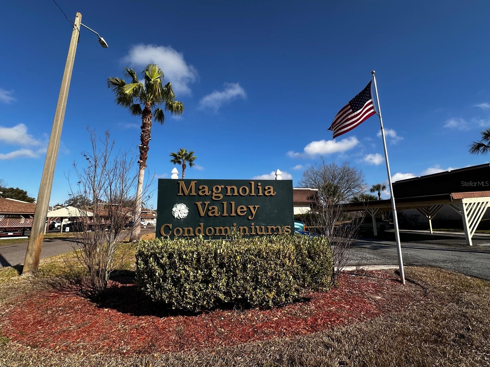 7040 Cognac Drive #1 New Port Richey FL 34653 TB8463392 image44