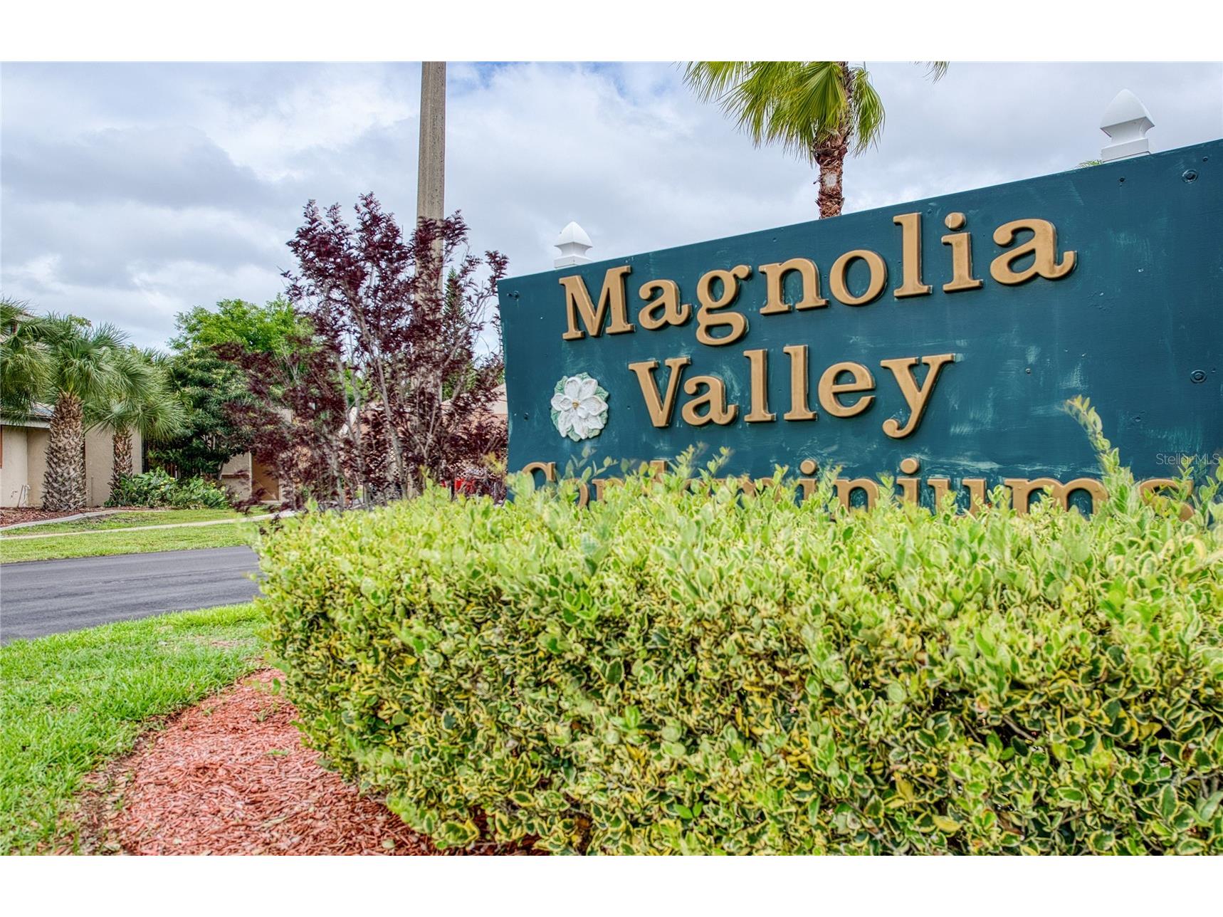 7040 Cognac Drive #3 New Port Richey FL 34653 TB8495931 image2