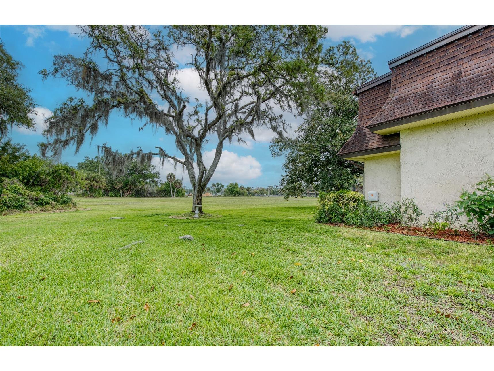 7040 Cognac Drive #3 New Port Richey FL 34653 TB8495931 image6