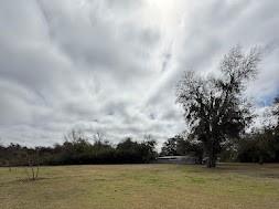 7040 Lumberton Road Zephyrhills FL 33540 TB8455785 image11