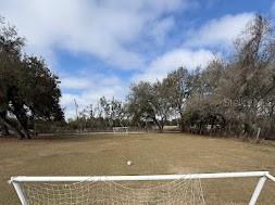 7040 Lumberton Road Zephyrhills FL 33540 TB8455785 image16