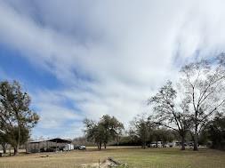 7040 Lumberton Road Zephyrhills FL 33540 TB8455785 image32
