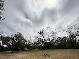 7040 Lumberton Road Zephyrhills FL 33540 TB8455785 image4