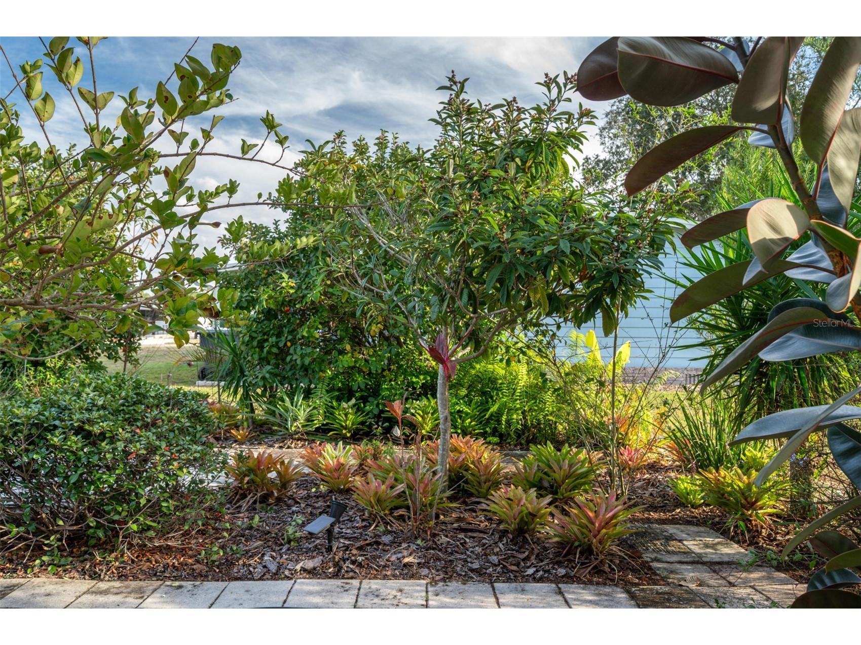 7040 Tamarind Drive Lake Wales FL 33898 P4937482 image39