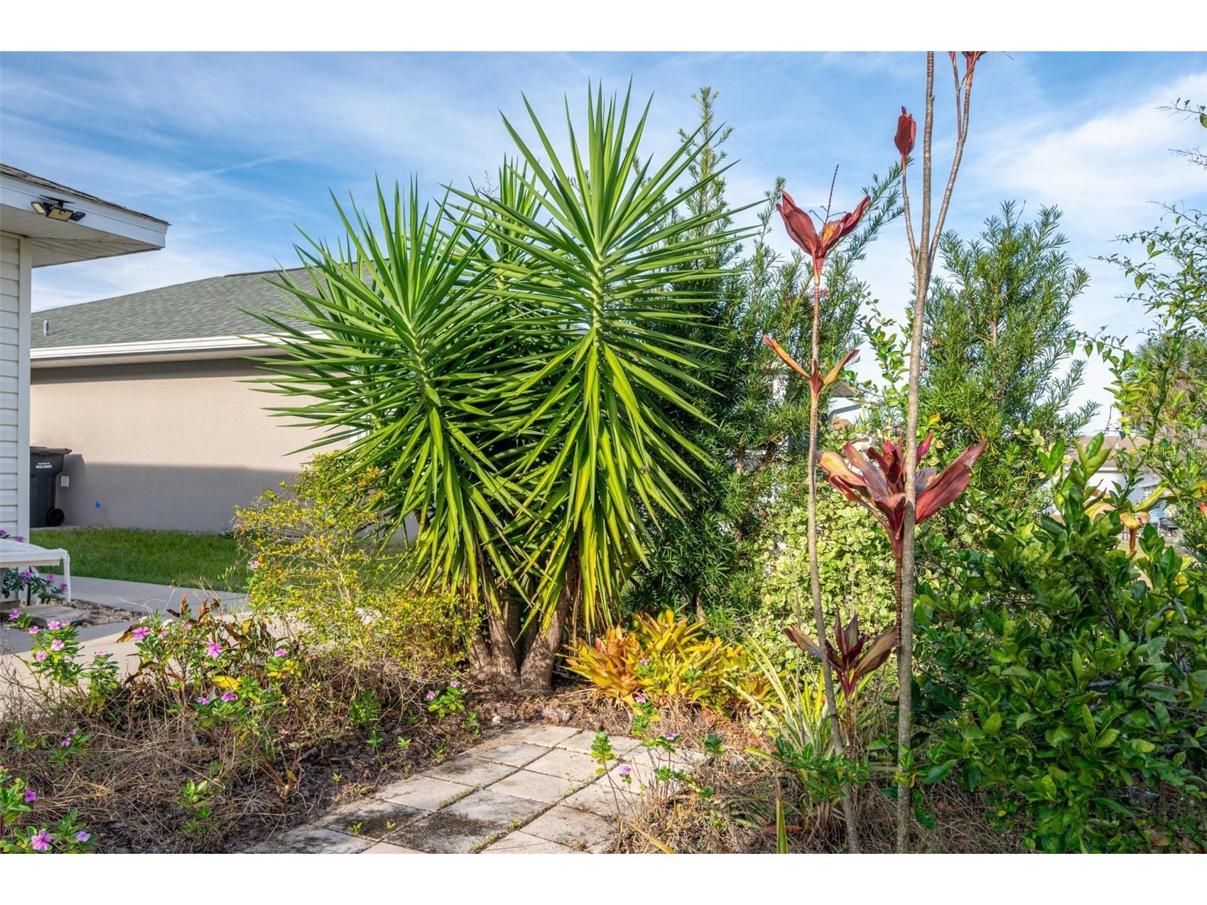 7040 Tamarind Drive Lake Wales FL 33898 P4937482 image42