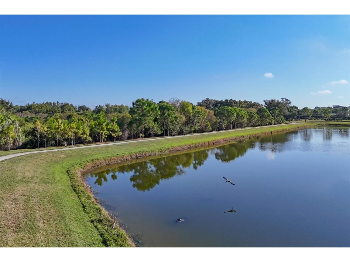 7040 White Willow Court Sarasota FL 34243 A4669438 image50