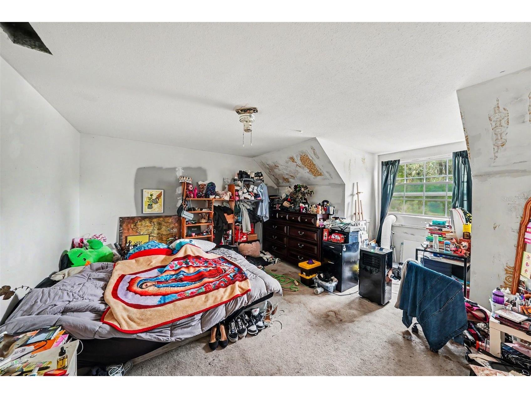7041 Jasmin Drive New Port Richey FL 34652 TB8524724 image10