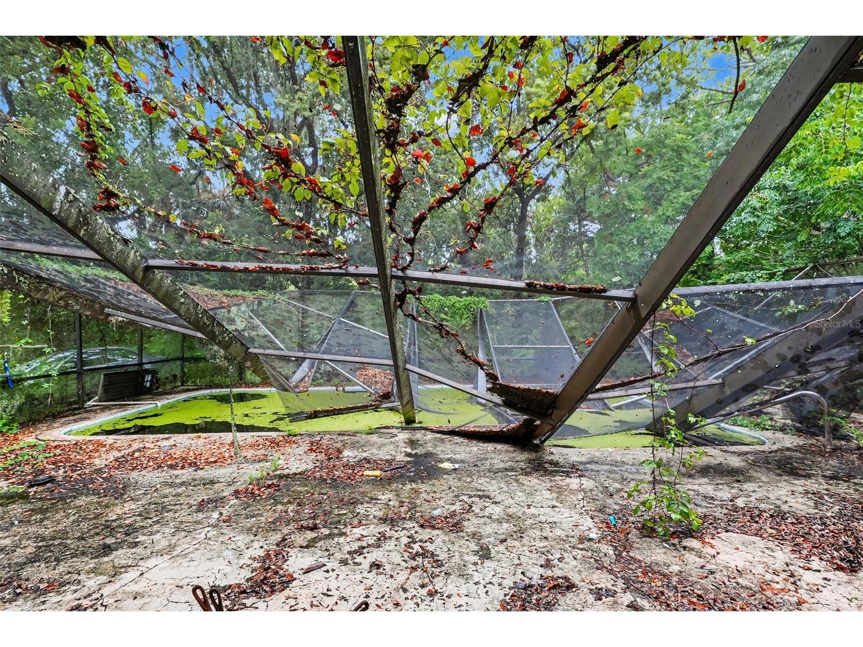 7041 Jasmin Drive New Port Richey FL 34652 TB8524724 image13