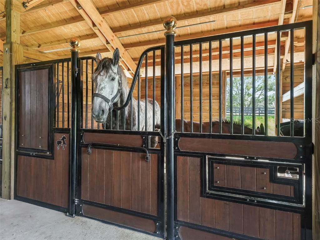 7041 NE 22nd Court Road Ocala FL 34479 OM704149 image66