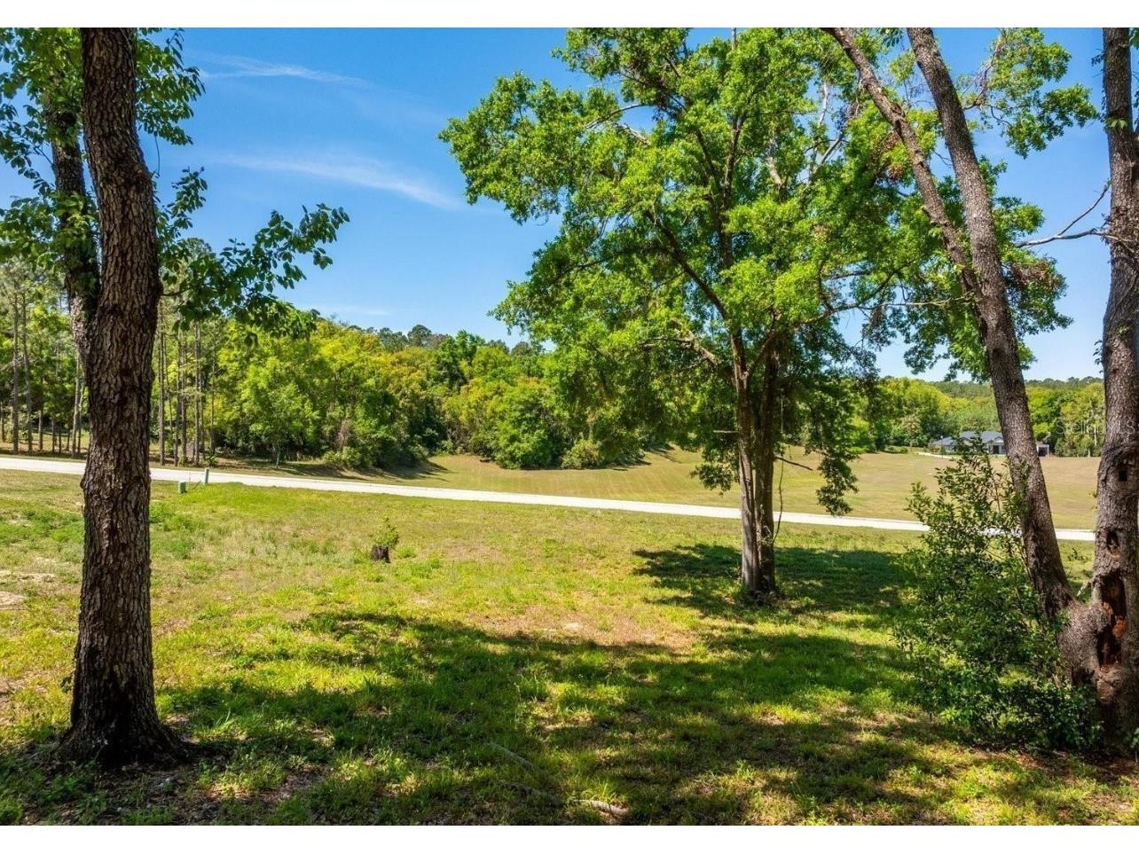 7041 Norne Lane Mount Dora FL 32757 O6383592 image10