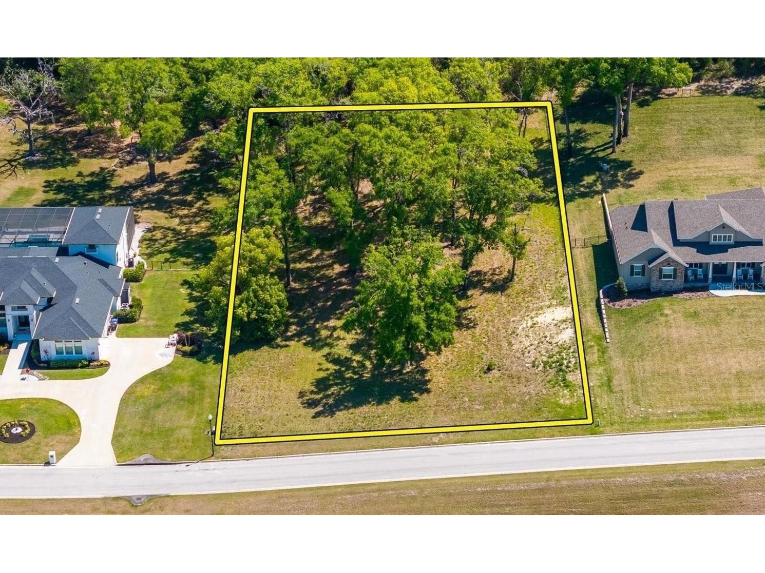 7041 Norne Lane Mount Dora FL 32757 O6383592 image2