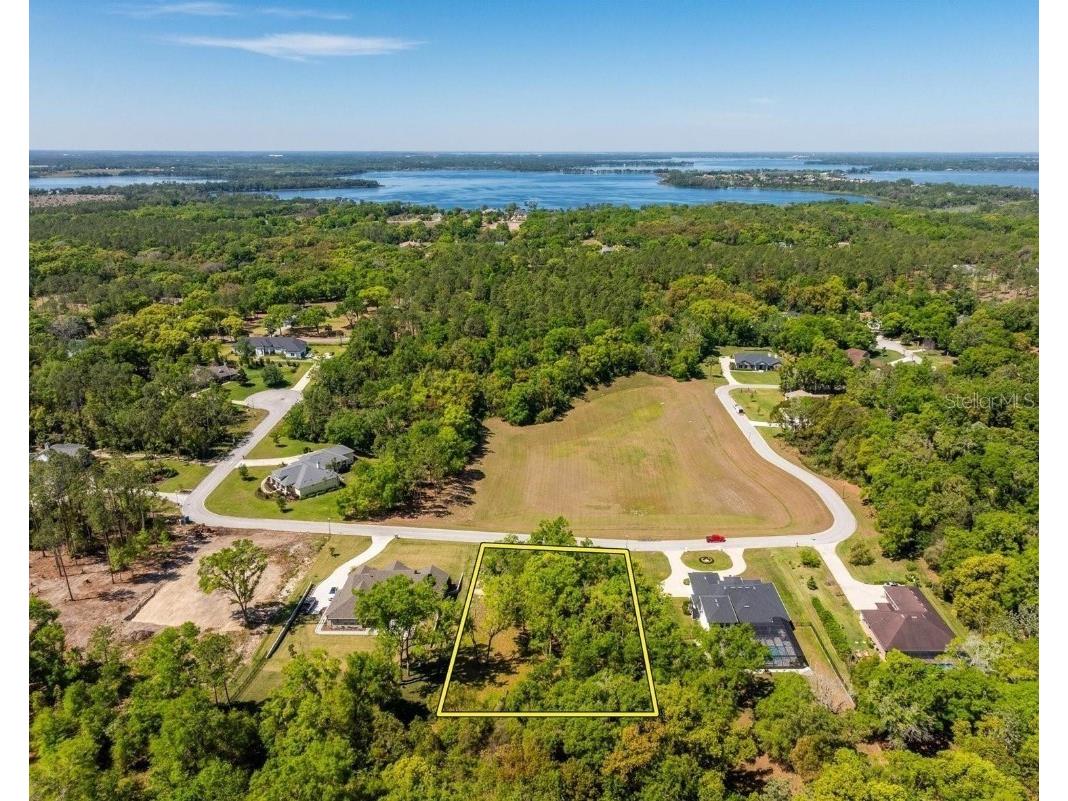 7041 Norne Lane Mount Dora FL 32757 O6383592 image3