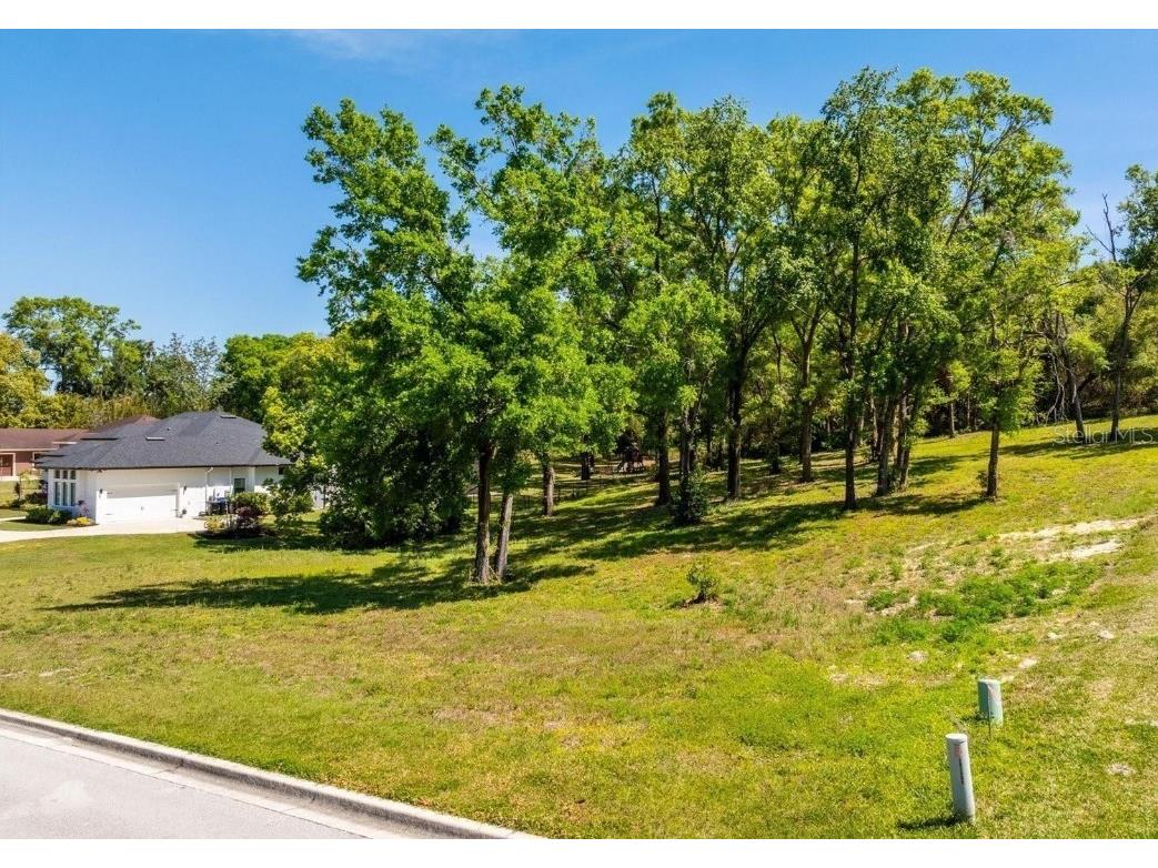 7041 Norne Lane Mount Dora FL 32757 O6383592 image4