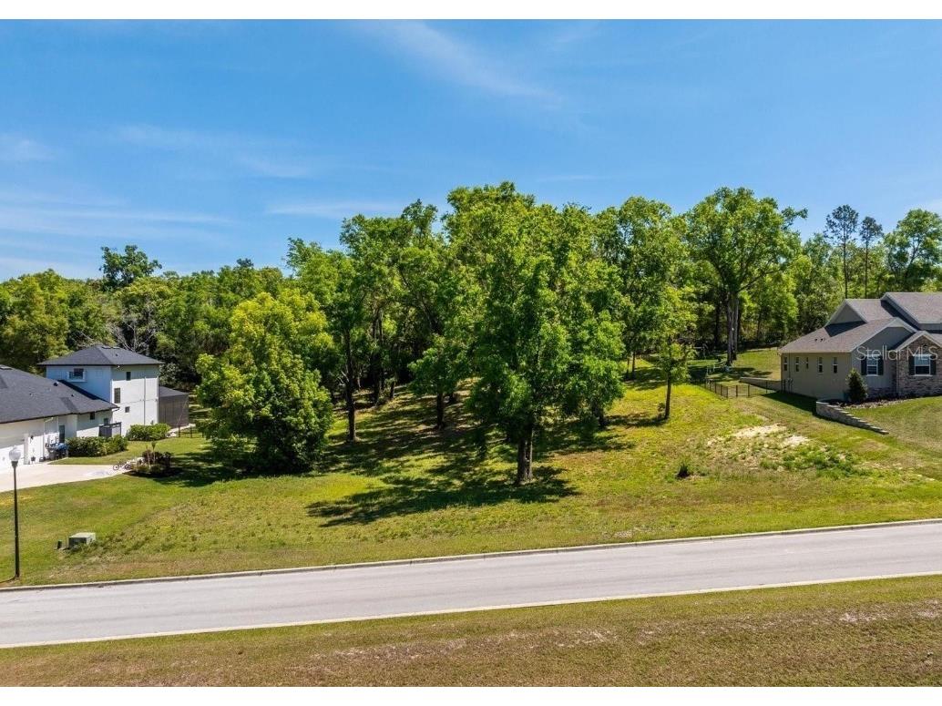 7041 Norne Lane Mount Dora FL 32757 O6383592 image5