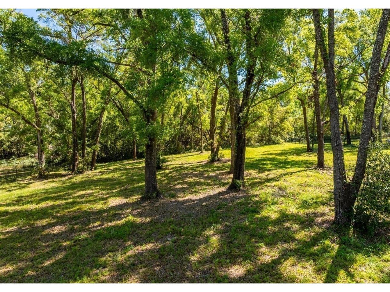 7041 Norne Lane Mount Dora FL 32757 O6383592 image6