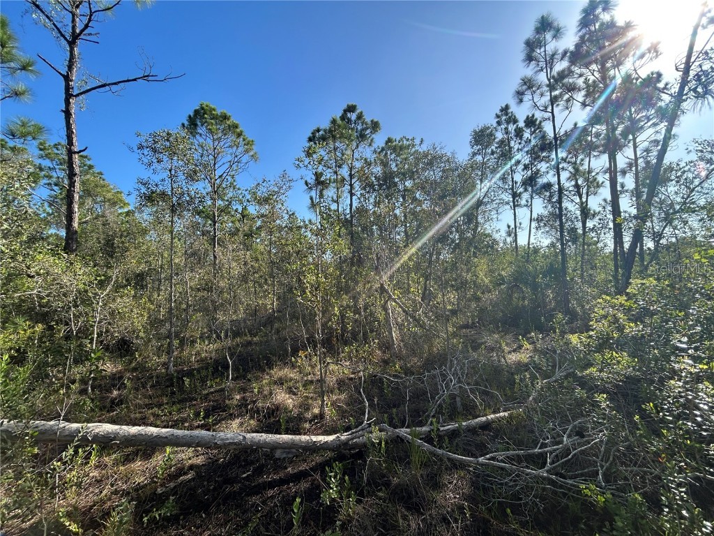 7041 Sweden Boulevard Punta Gorda FL 33982 C7512426 image1