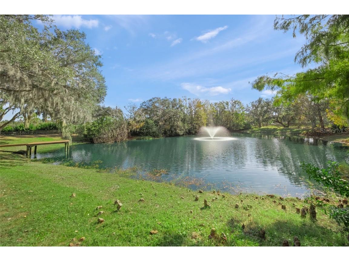 7042 Saddle Creek Circle Sarasota FL 34241 A4674939 image69