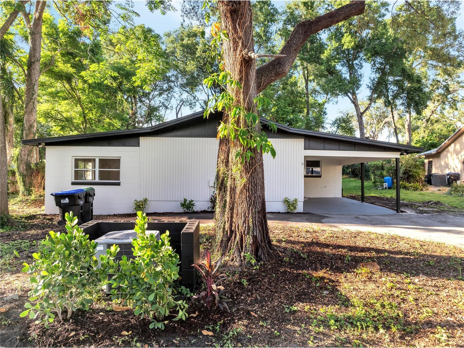 7043 Carlene Drive Orlando FL 32835 S5147541 image5