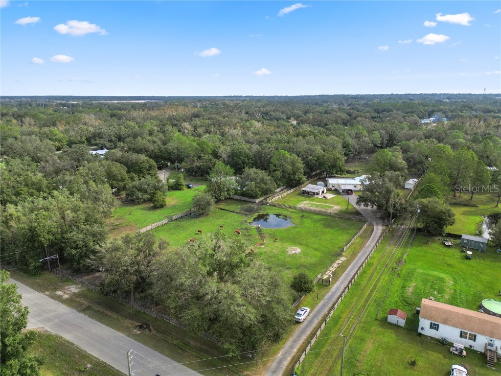7043 Glen Meadow Drive Lakeland FL 33810 L4948255 image1