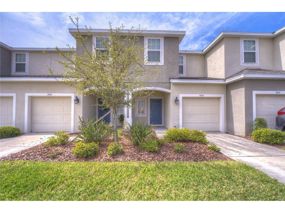 7043 Summer Holly Place Riverview FL 33578 T3508946 image1