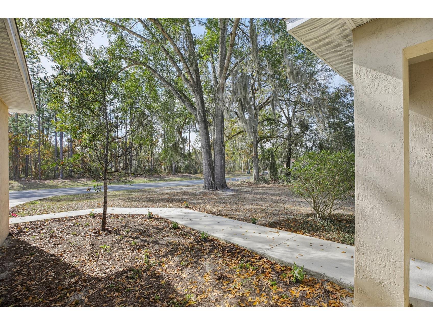 7043 SW 130th Lane Road Ocala FL 34473 OM716183 image5