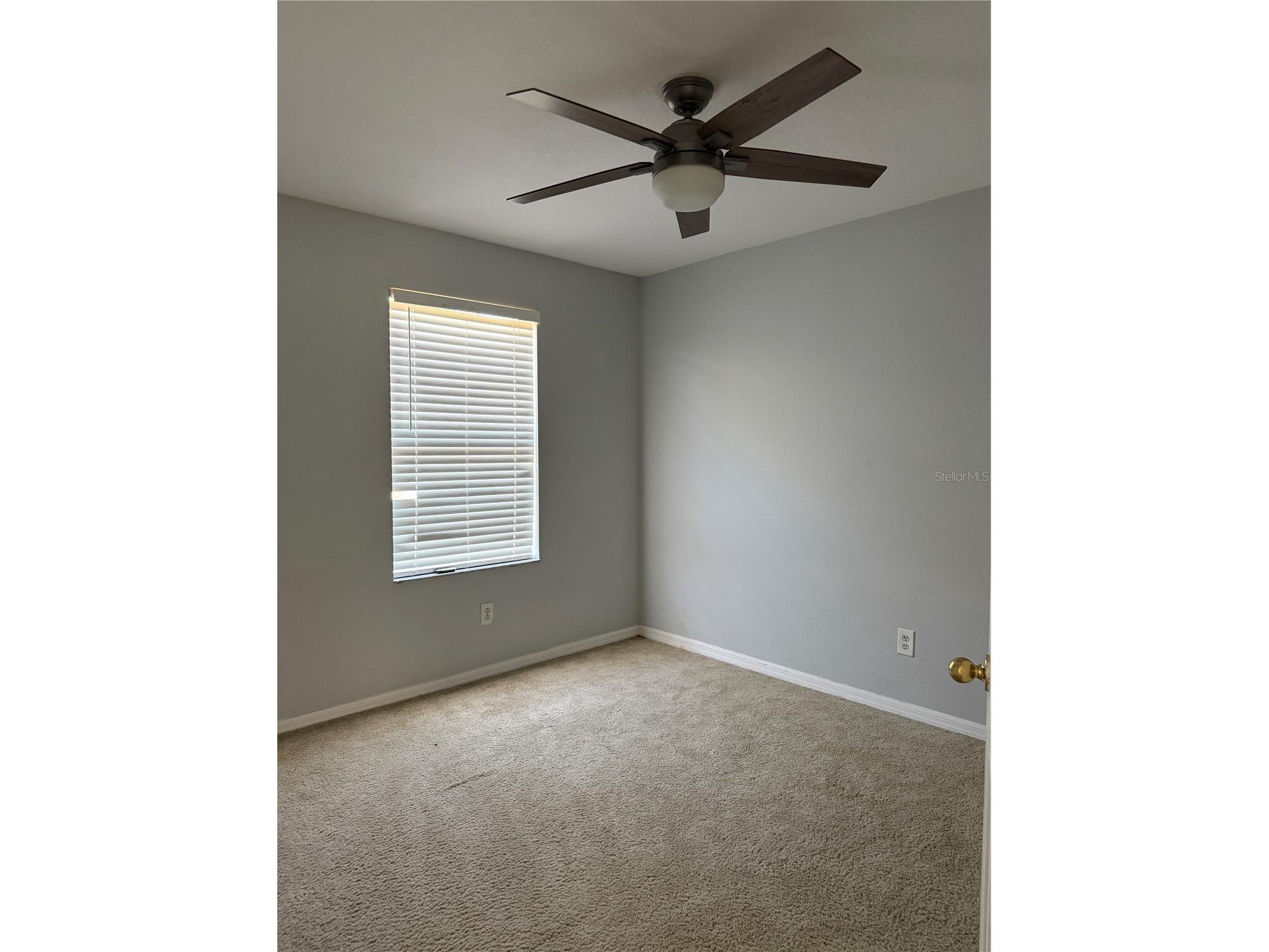 7046 Penta Place Wesley Chapel FL 33545 TB8496587 image9