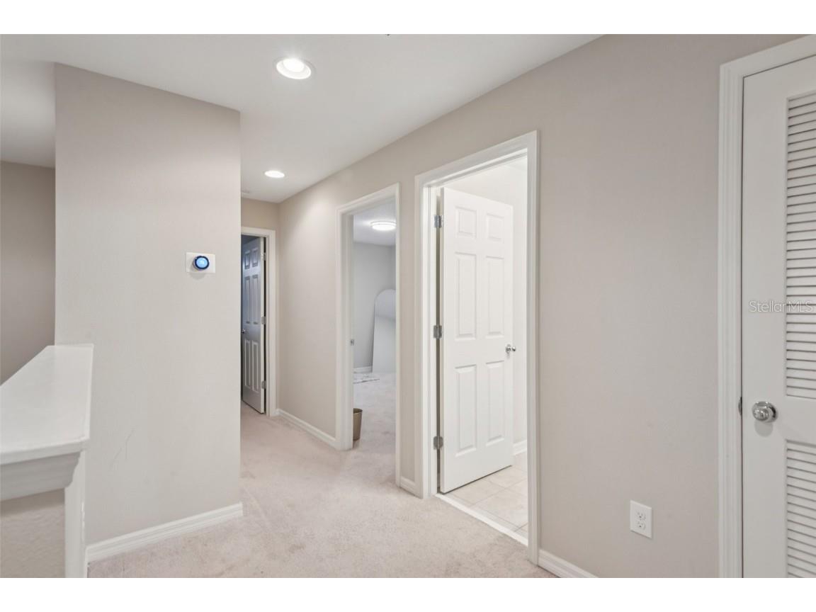 7046 Towne Lake Road Riverview FL 33578 TB8432730 image21