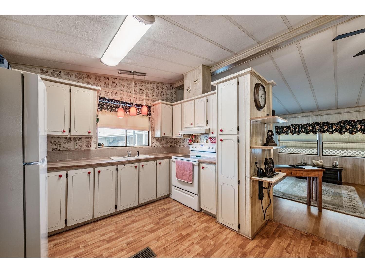 7047 El Matador Street Zephyrhills FL 33541 TB8506572 image8