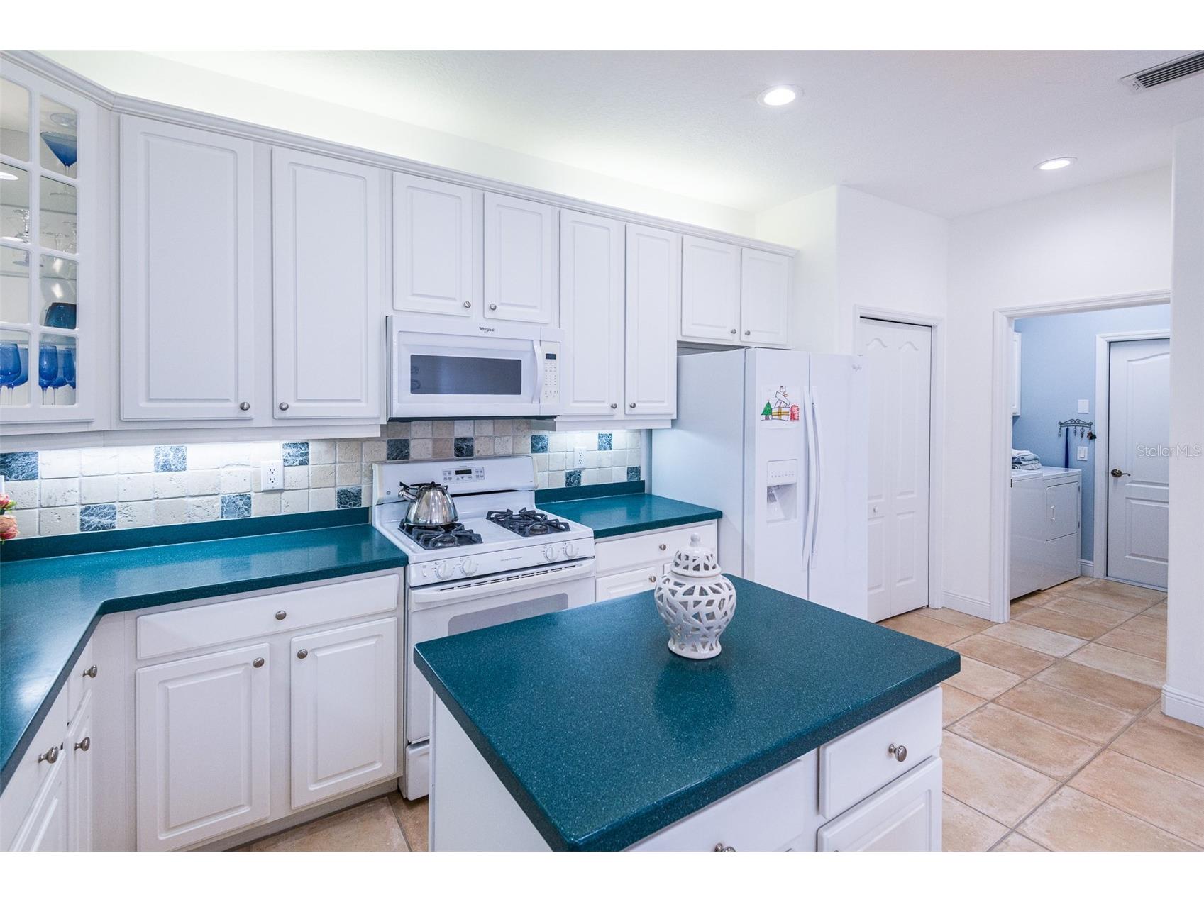 7048 Old Tabby Circle Lakewood Ranch FL 34202 A4684389 image11