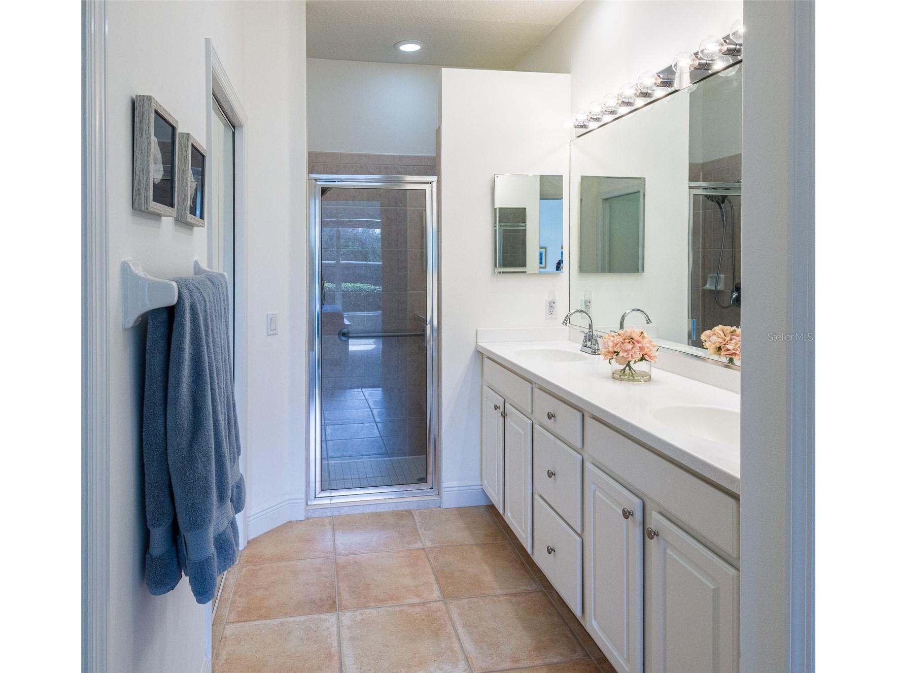 7048 Old Tabby Circle Lakewood Ranch FL 34202 A4684389 image16