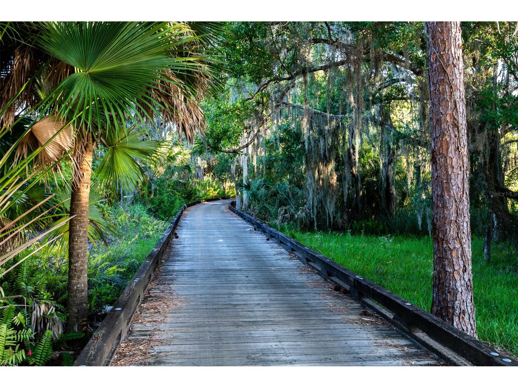 7048 Old Tabby Circle Lakewood Ranch FL 34202 A4684389 image34