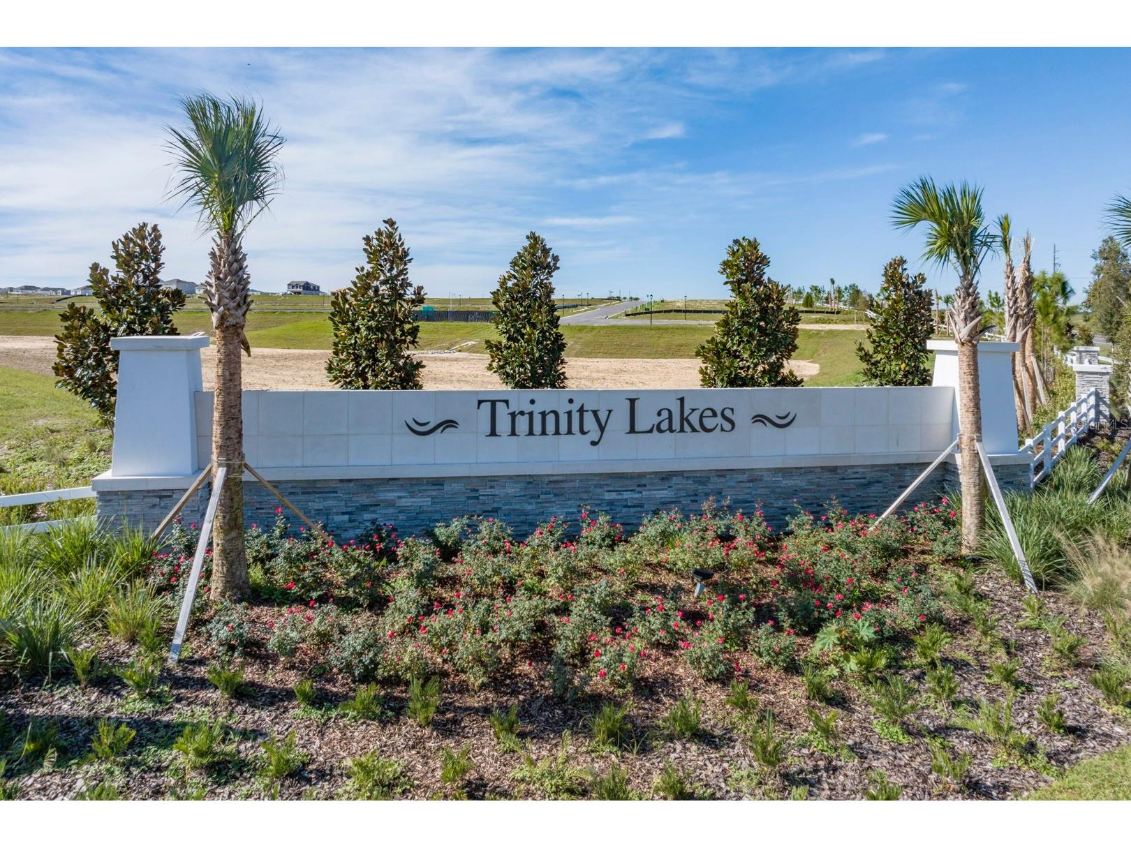 7048 Rolling Leaf Road Groveland FL 34736 O6368617 image5