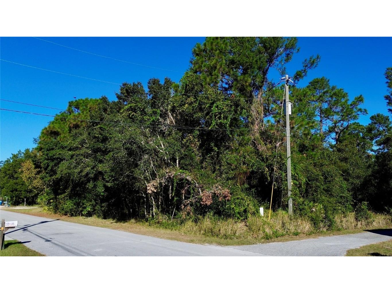 7049 Centerwood Avenue Spring Hill FL 34606 TB8437986 image4