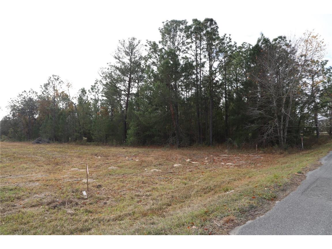 7049 State Road 21 Keystone Heights FL 32656 GC535871 image13