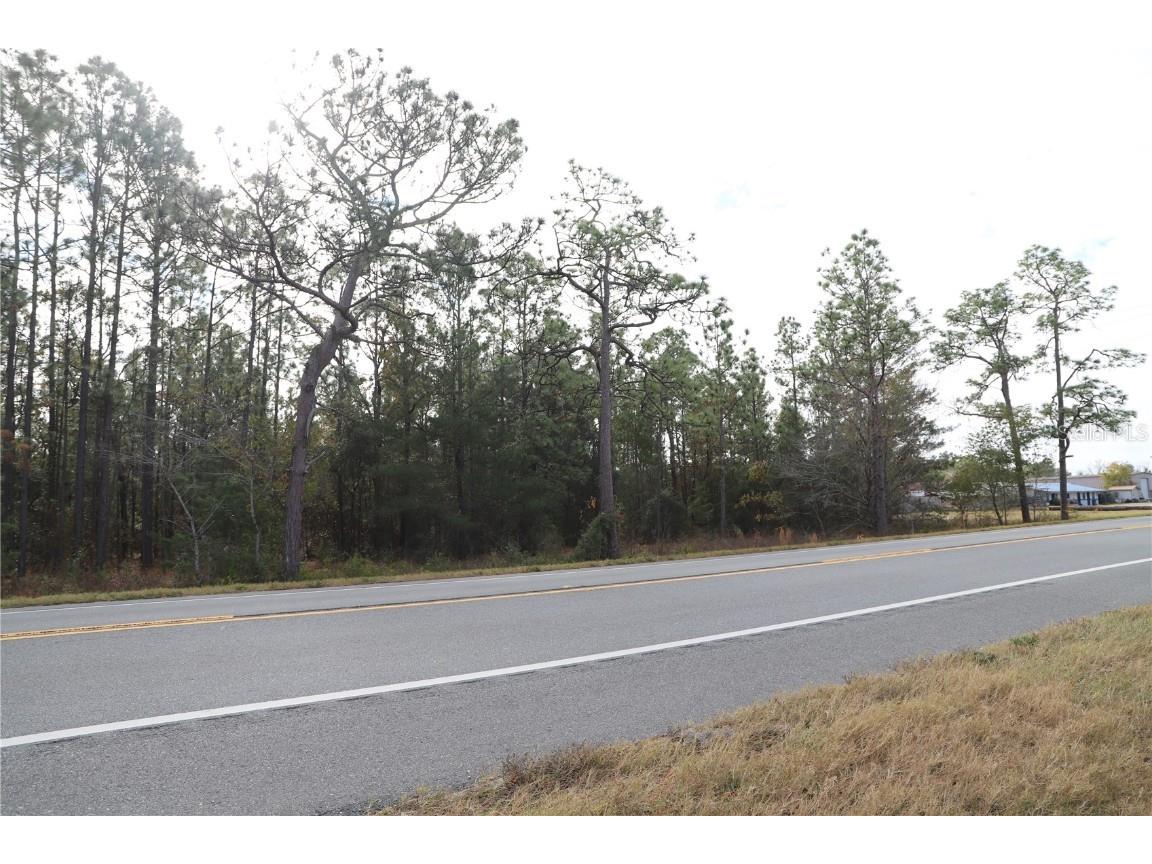 7049 State Road 21 Keystone Heights FL 32656 GC535871 image7