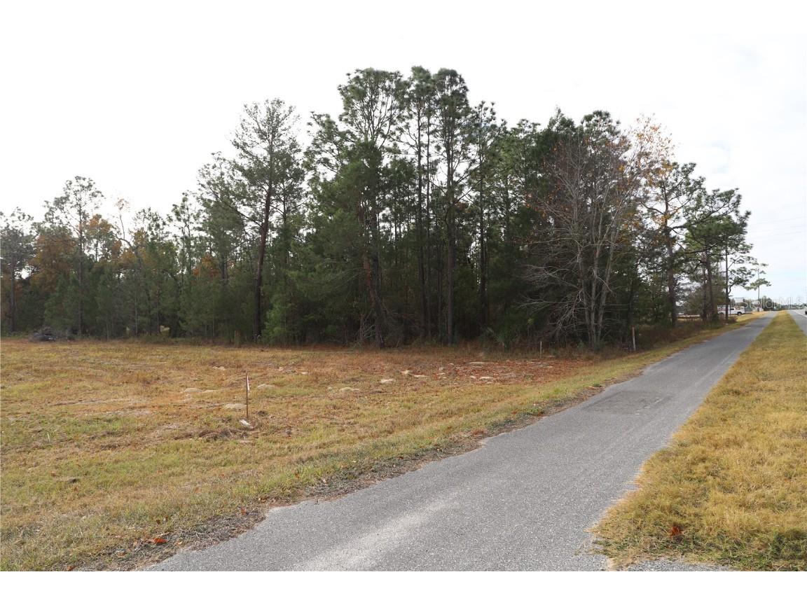 7049 State Road 21 Keystone Heights FL 32656 GC535871 image8