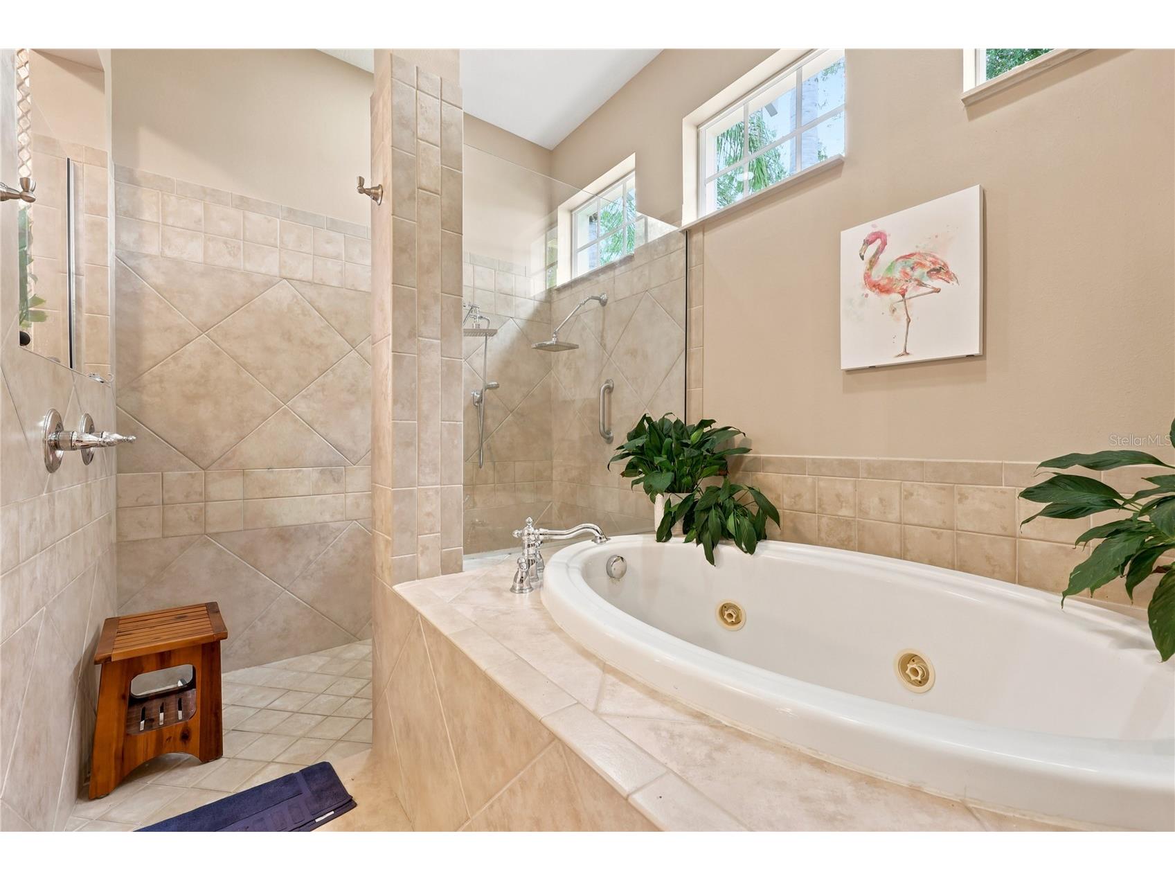7049 Timber Ridge Way Land O Lakes FL 34637 TB8527375 image23