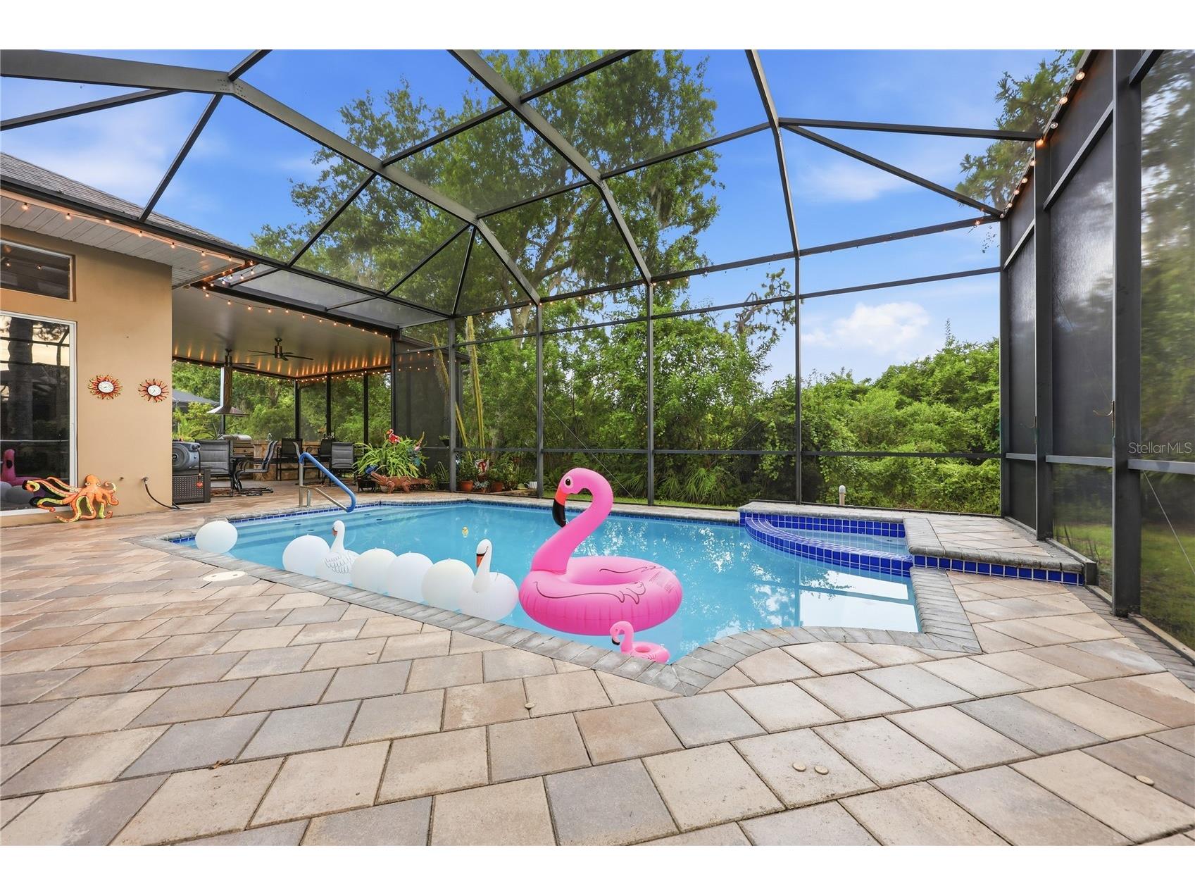 7049 Timber Ridge Way Land O Lakes FL 34637 TB8527375 image41