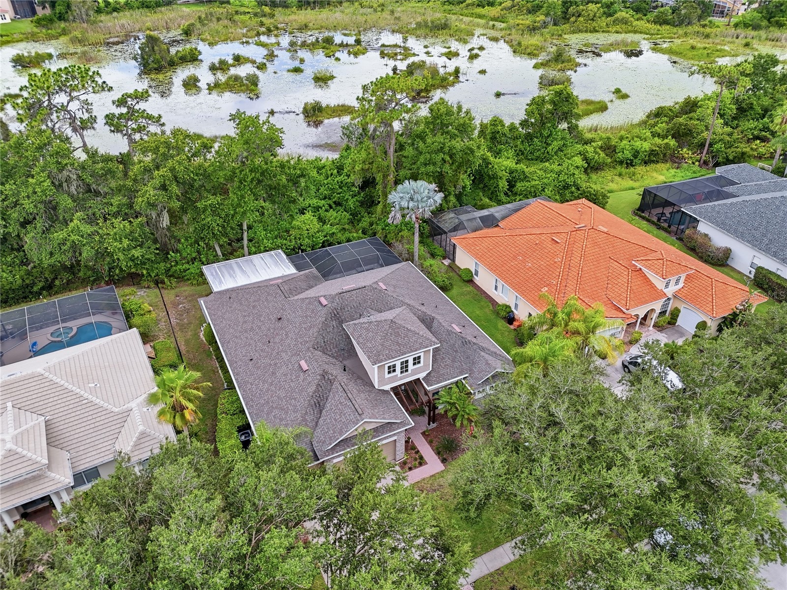 7049 Timber Ridge Way Land O Lakes FL 34637 TB8527375 image51