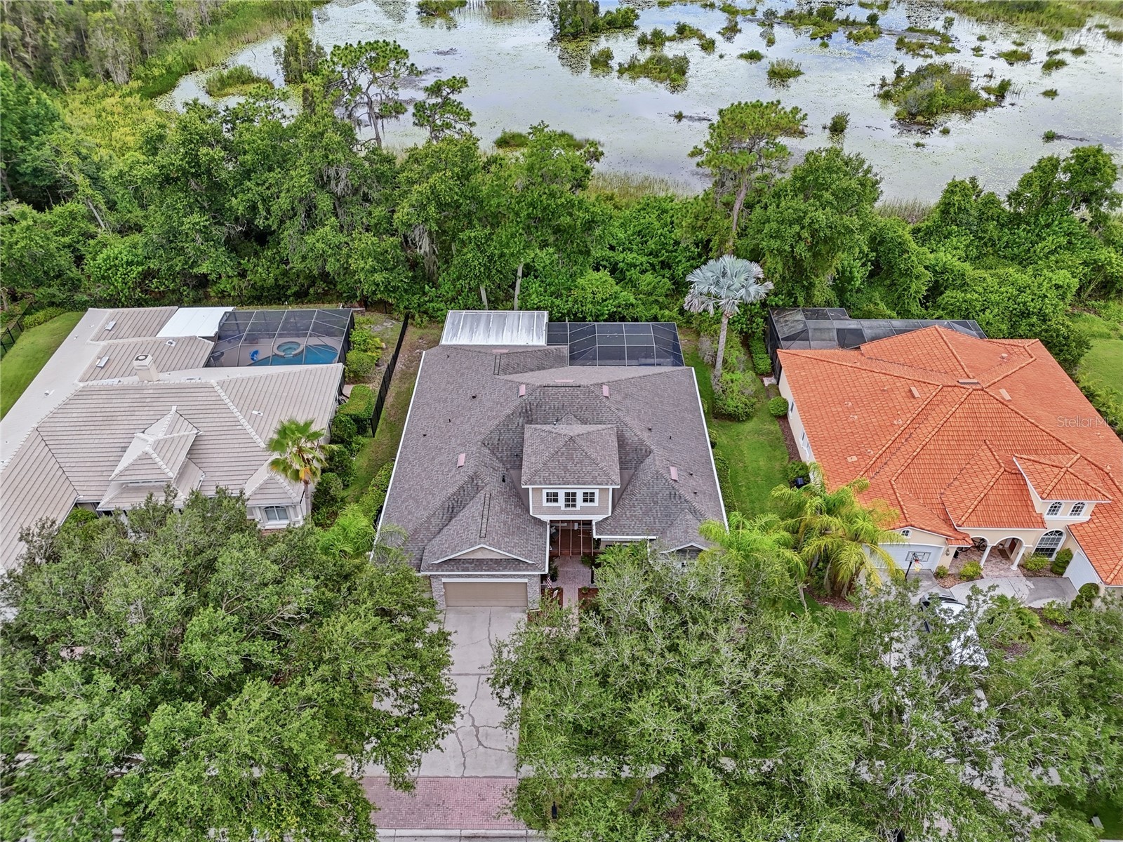 7049 Timber Ridge Way Land O Lakes FL 34637 TB8527375 image53