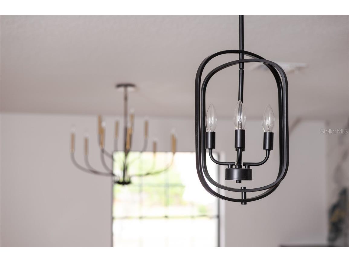 705 Boysenberry Court Winter Springs FL 32708 O6368618 image58