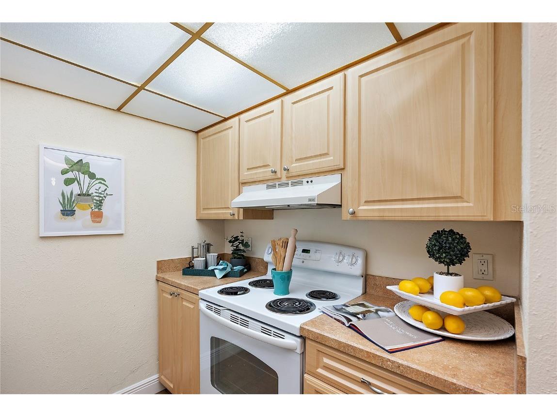 705 Cordova Green Seminole FL 33777 TB8435437 image8