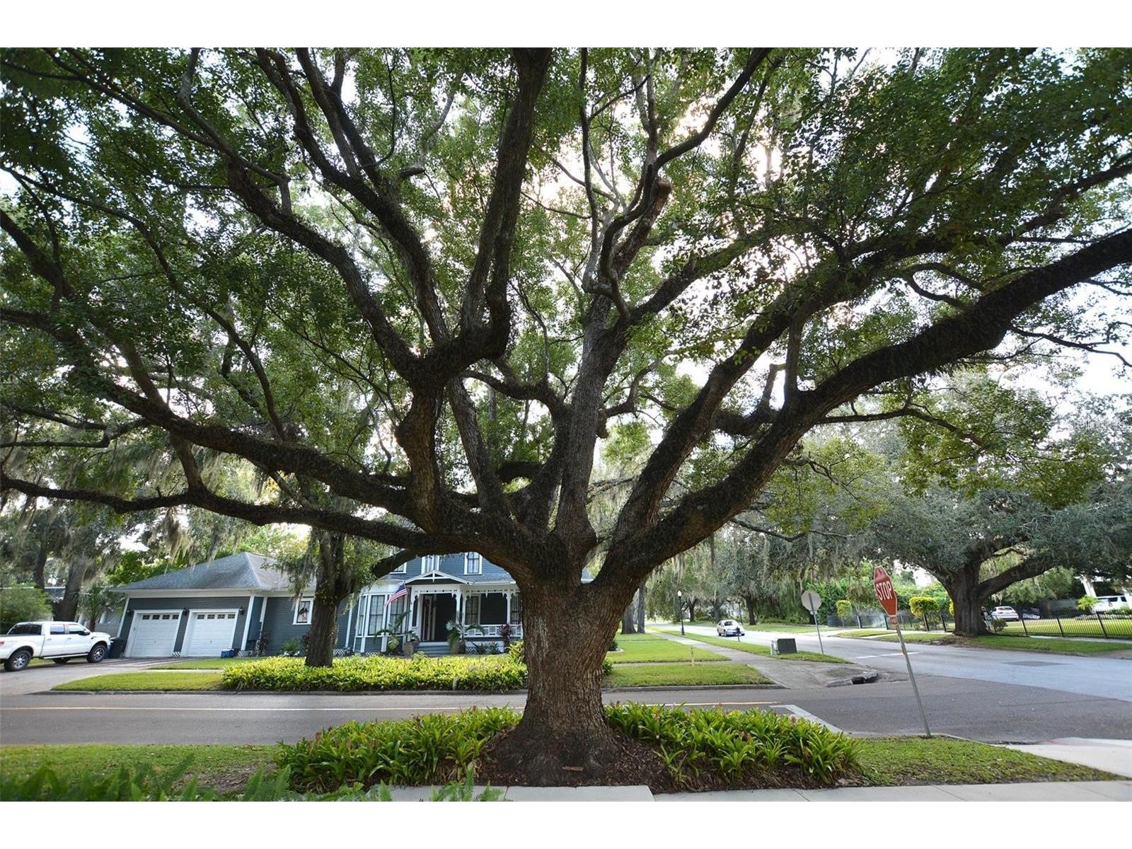 705 E Church Street Bartow FL 33830 L4959897 image6