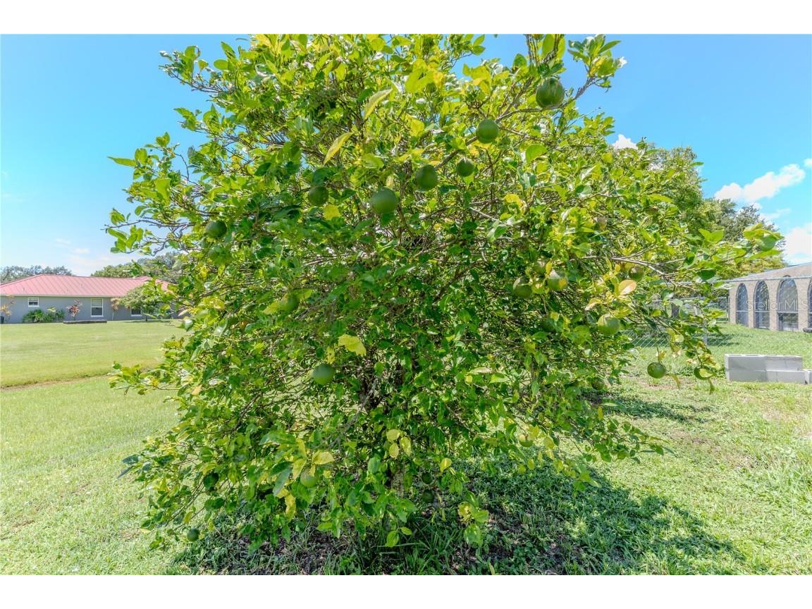 705 Glen Mar Court Sebring FL 33876 P4935630 image24