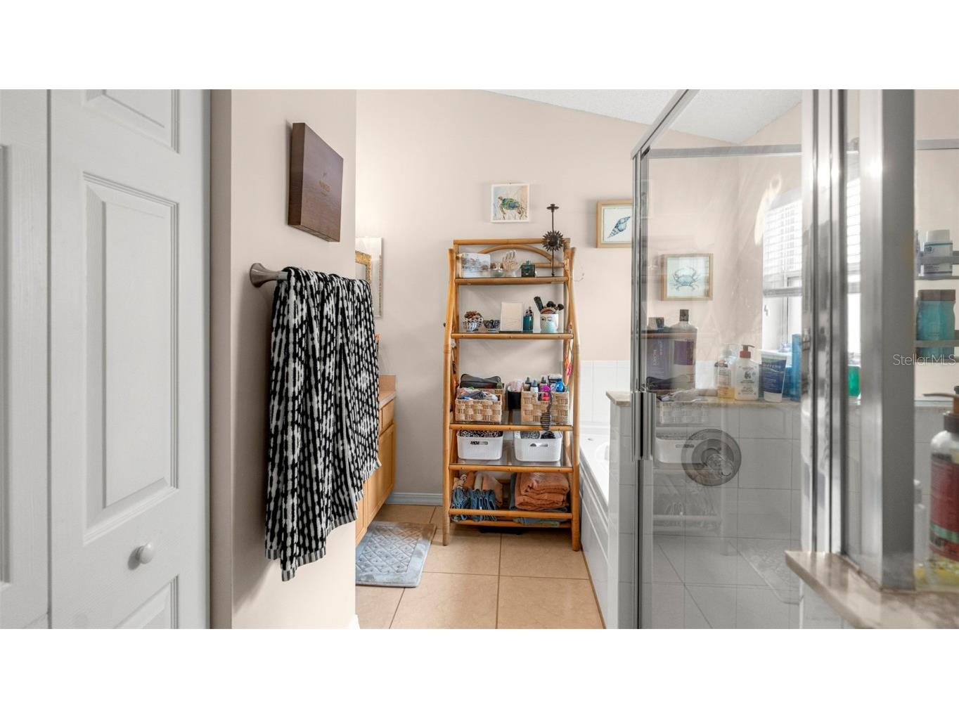 705 Guava Drive Saint Augustine FL 32095 OM705009 image19