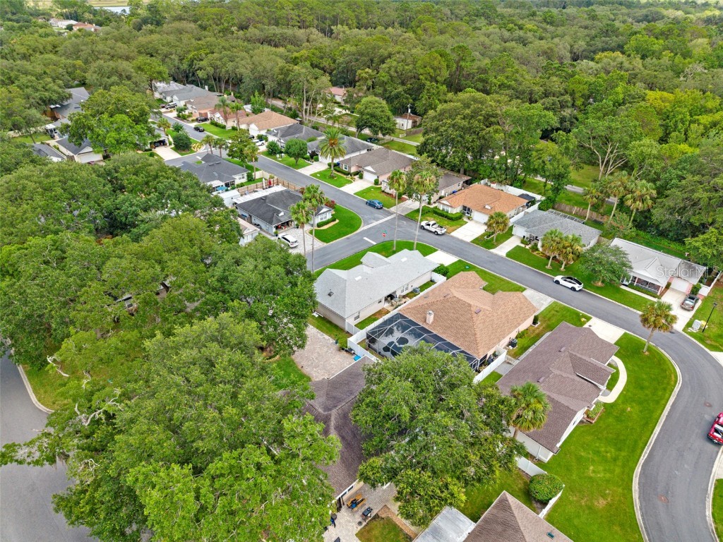 705 Guava Drive Saint Augustine FL 32095 OM705009 image40