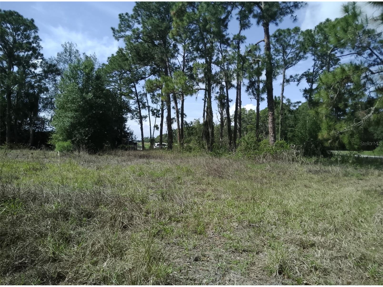 705 Horse Club Avenue Clewiston FL 33440 NS1088086 image2